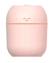 Mini humidificateur Joy